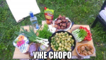 1521350523684.png