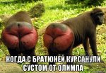 orig_.jpg