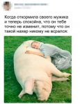 QyWNv02SCQY.jpg