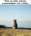 1522346939928.png