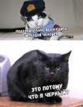1522384487320.png