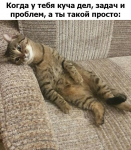 1522811996574.png