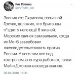 ppi96eCquV0.jpg