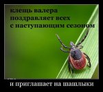 JE_yVtfJxpM.jpg