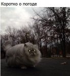 441bJyPaJSo.jpg