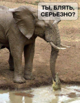 1523381206030.png