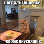 1524456909262.png