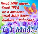 IMG-20180501-WA0000.jpg