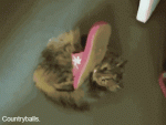 vk_com_gif_fak.gif