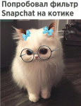1528086042013.png