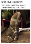 znI5fdj3EbI.jpg