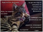 UmyR7YD9ZmI[1].jpg