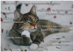 7gf5NSq0Ifs[1].jpg