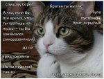kVemRI2aDlA[1].jpg
