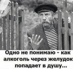 80273792_84b7c19a284cc59b0219ecdce7eac64b_800.jpg