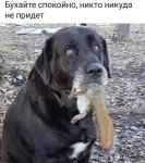 IMG-20180928-WA0014.jpg