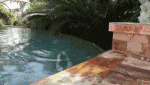 504bddabf2950d69621f72fe916018aa.gif