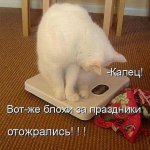 IMG-20190105-WA0002.jpg