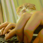 gifeditor_20190123_182529.gif