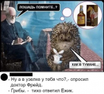 1548820573806.png