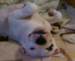 IMAG0321_1.jpg