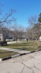 20190307_104215.jpg