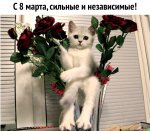 ItIN_jwGNYI.jpg