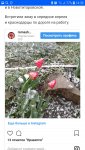 Screenshot_20190418-143930.jpg
