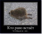 1555998964727.png