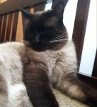 20190426_094937.jpg