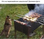 Screenshot_2019-05-01-21-00-20-523_com.vkontakte.android.jpg