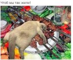 IMG-20190501-WA0012.jpg