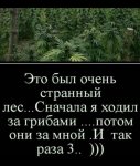 Screenshot_2019-05-08-14-39-25-416_com.vkontakte.android.jpg
