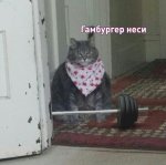 Pq3gxtMlFSo[1].jpg