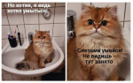 Снимок.PNG