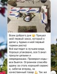A66FC9C1-E4F3-4252-9C0D-20AFB7DB3FA6.jpeg