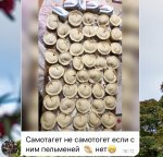 FF2A16F0-44BA-4CDB-A26A-29C5039E5A4B.jpeg