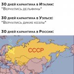 u1F1_0nv6Zc[1].jpg