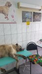 20200708_145231.jpg