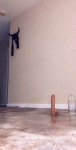 птн.gif