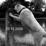 20201225_091859.jpg