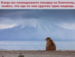 1550771332115765519[1].jpg