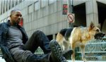 I-Am-Legend-01[1].jpg