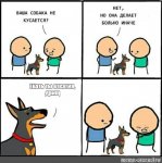 ed2ba12dfa361632af8ec5e2a6c1a395[1].jpg