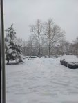 20220123_095012.jpg