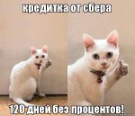 nntlwv[1].jpg