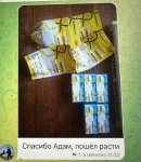 08F3B448-54E1-4ABC-B6F4-4BCB25E68F20.jpeg