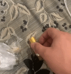 IMG_2553.gif