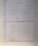 IMG_5233.jpeg