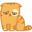 10 :10: :10: